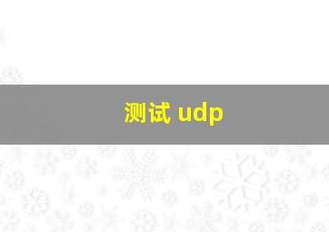 测试 udp